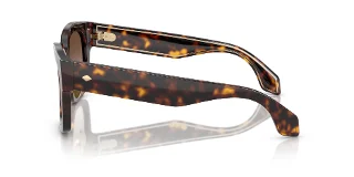 Giorgio Armani Sunglasses AR8223