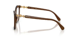 Swarovski Eyeglasses SK2053F