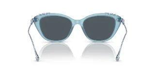 Swarovski Sunglasses SK6010F