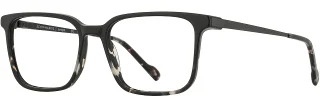 C02 Black/Gray Tort/Black