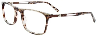 020 Grey Tortoise