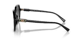 Michael Kors Sunglasses MK2196U