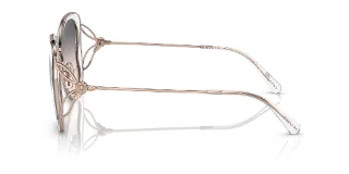 Coach Sunglasses HC7153B