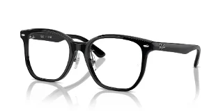 Ray Ban Eyeglasses RX5425D