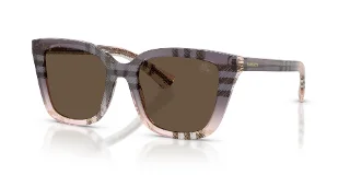 422073 Check Gradient Rose