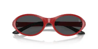 Polo Sunglasses PH4197U