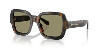 64782A Brown Tortoise