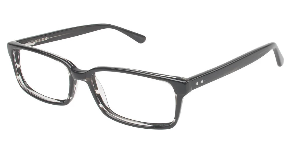 Vision's Eyeglasses 202