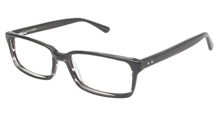 Vision's Eyeglasses 202