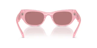 Swarovski Sunglasses SK6022