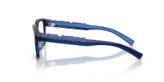 Dolce & Gabbana Eyeglasses DX5008