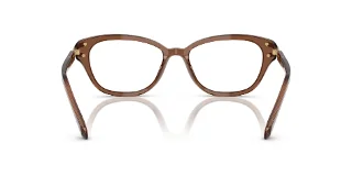 Swarovski Eyeglasses SK2032
