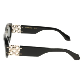 Salvatore Ferragamo Sunglasses SF2082SE
