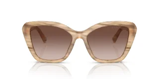 Ralph Lauren Sunglasses RL8216U