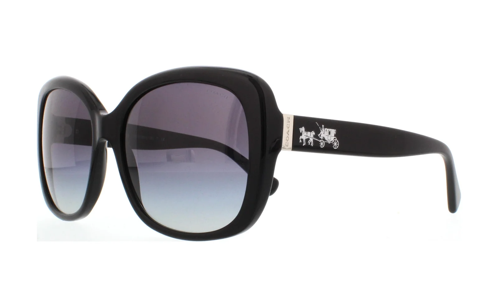 Coach Sunglasses HC8158 L139