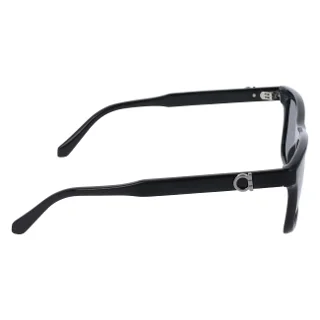 Salvatore Ferragamo Sunglasses SF2060SE