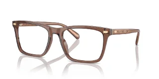 5819 Transparent Pecan