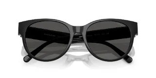 Coach Sunglasses HC8430D