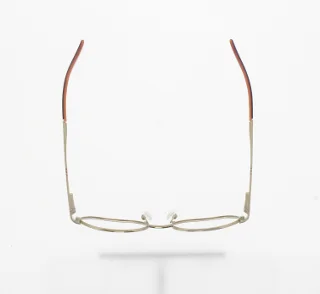 Polo Eyeglasses PP8017