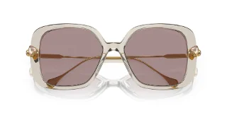 Swarovski Sunglasses SK6011
