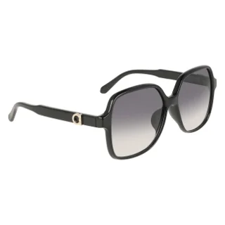 Salvatore Ferragamo Sunglasses SF2069SELB
