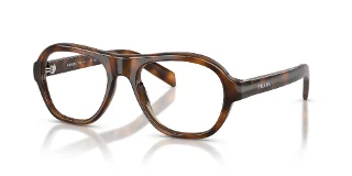 20D1O1 Juniper Tortoise