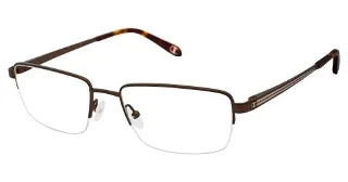 C03 Brown