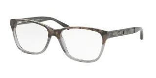 3260 Gray Tort Graphic