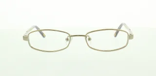 Polo Eyeglasses PP8016