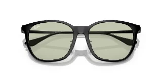 Ray Ban Sunglasses RB4333D