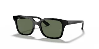 Ray Ban Jr Sunglasses RJ9071S