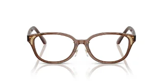 Swarovski Eyeglasses SK2040D