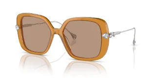 200563 Transparent Amber Brown