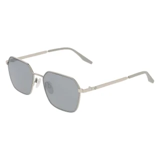 033 Grey Area/Shiny Silver