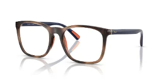 6070 Shiny Dark Havana