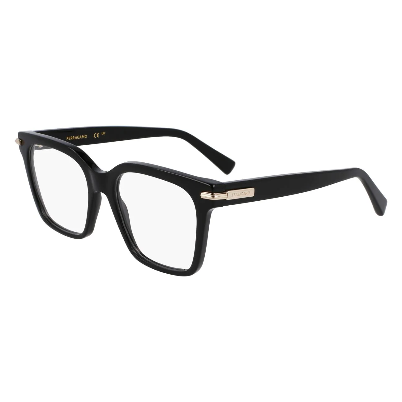 Salvatore Ferragamo Eyeglasses SF3009
