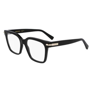 Salvatore Ferragamo Eyeglasses SF3009