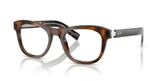 20D1O1 Juniper Tortoise
