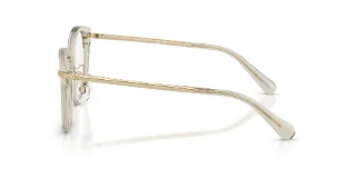 Swarovski Eyeglasses SK2044F
