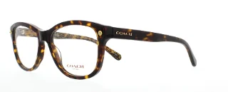 5394 Dark Tort/Dark Tort Gold Sig C