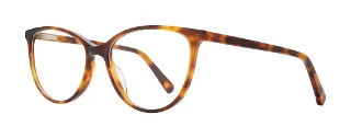 Tortoise