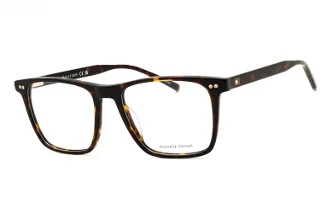 Tommy Hilfiger Eyeglasses TH 2131