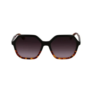 Longchamp Sunglasses LO760S