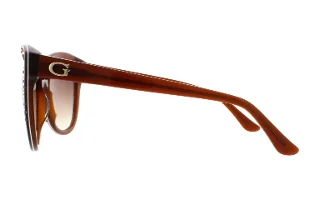 Guess Sunglasses GU7437
