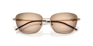 Emporio Armani Sunglasses EA2170