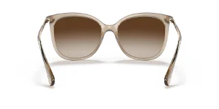 Ralph Sunglasses RA5248