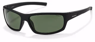 Polaroid Sunglasses P 8411/S