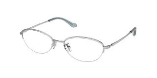 9001 Shiny Silver