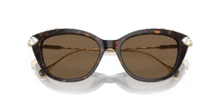 Swarovski Sunglasses SK6010