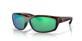 902018 Tortoise